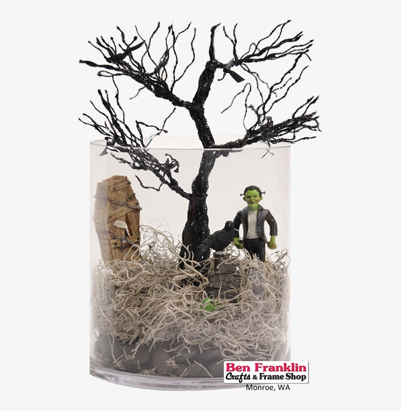 Add River Rocks, Then A Layer Of Spanish Moss And Finish - Animal, transparent png download