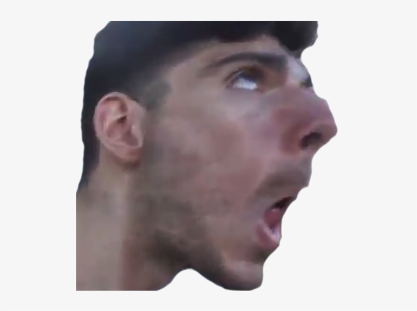 Transparent Library Calling All Ice Poseidon What Tongue - Ice Poseidon Arm Emote, transparent png download
