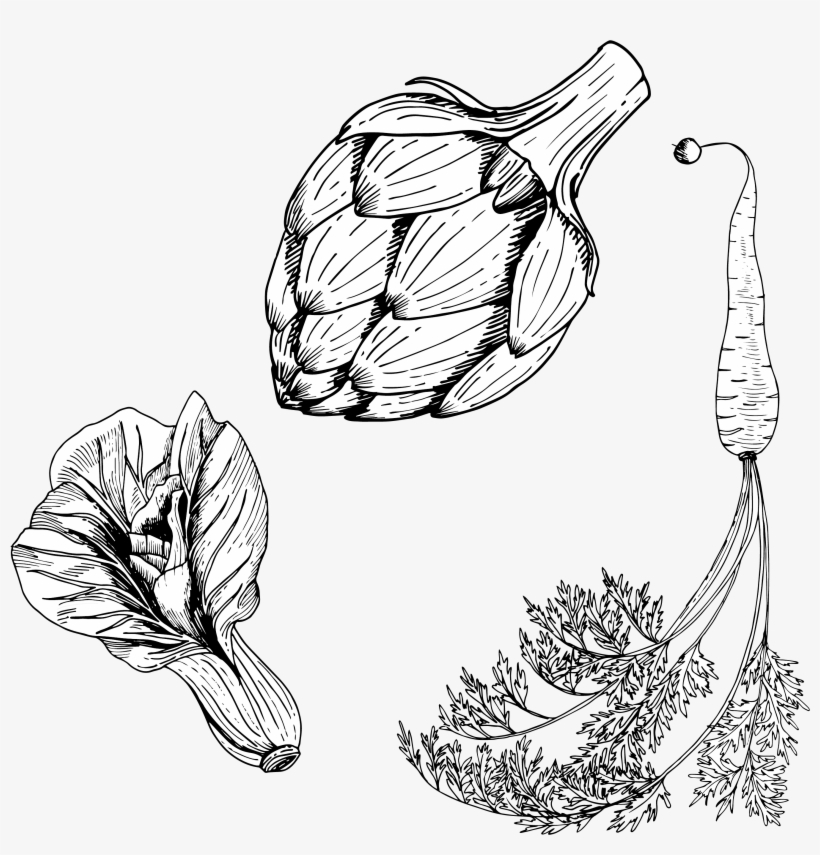 Svg Royalty Free Library Carrot Vegetable Vegetables - Food Planner: Meal Planner [book], transparent png download