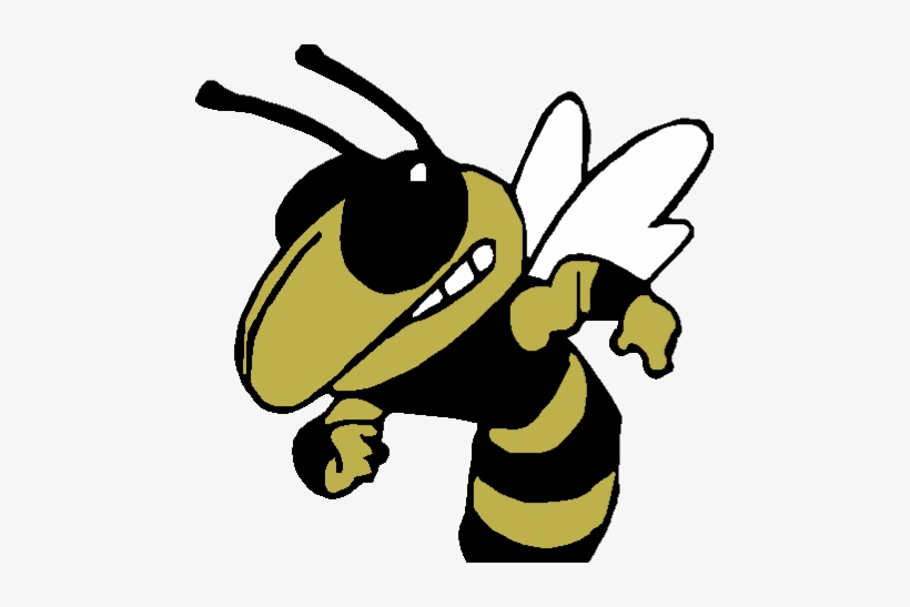 Hornets Athletics - Yellow Jackets Vector, transparent png download