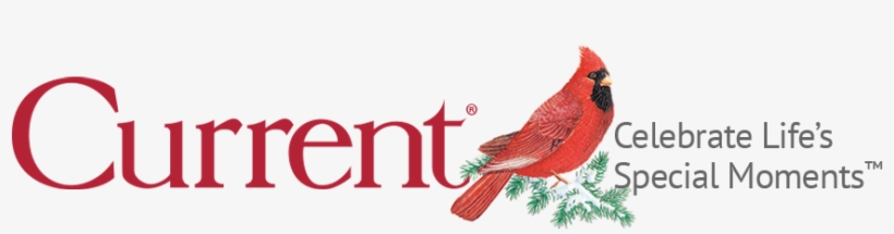 Special Moments® - Current Catalog, transparent png download