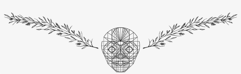 En Esta Ocasión Les Traigo Esta Sesión De Fotos Que - Photography, transparent png download