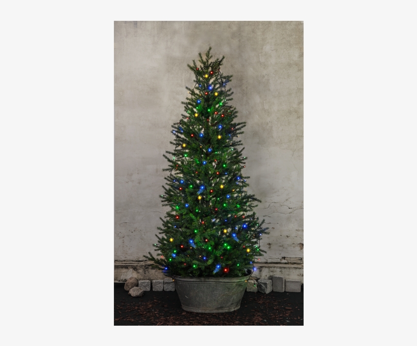 Christmas Tree Light Serie Led - Star Trading Juletrelenke Led 8x2 Meter Multi Ip44, transparent png download
