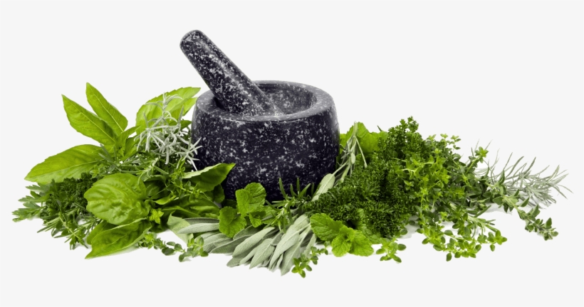 Free Png Herb High Quality Png Png Images Transparent - Bioland - Body Care Bioland Neutral Soap - 2 Pack -, transparent png download