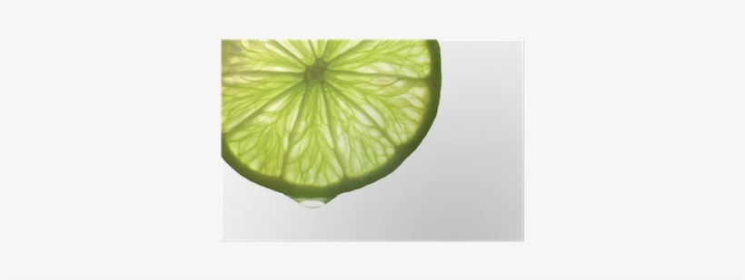 Free Lime Slice Png - Shutterstock, transparent png download