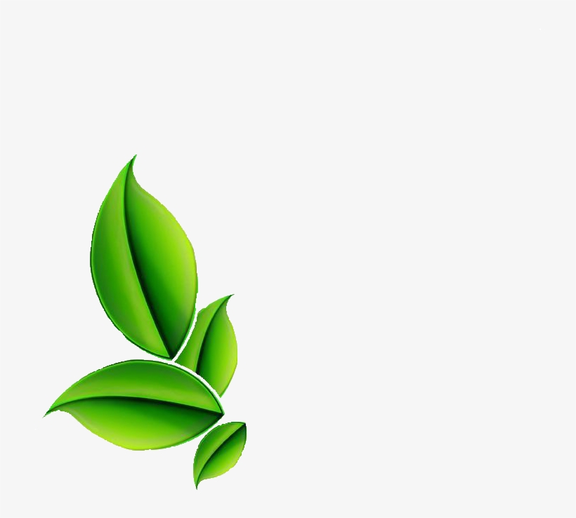 Herb - Herb Png, transparent png download