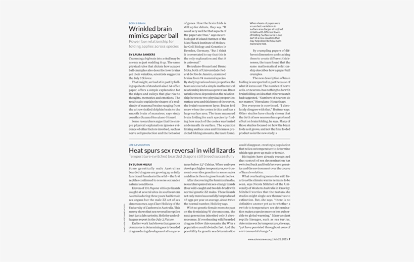 Alphabetized Bible, transparent png download