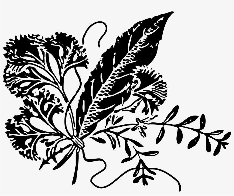 Black Vector Herb - Black And White Herb Clipart, transparent png download