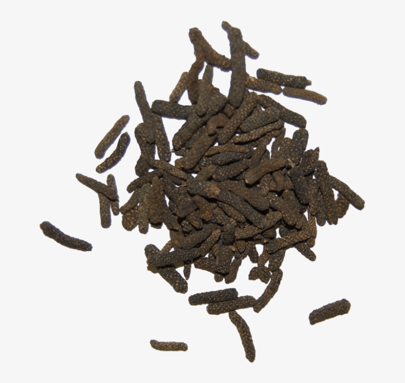 Javanese Long Pepper - Long Herb, transparent png download