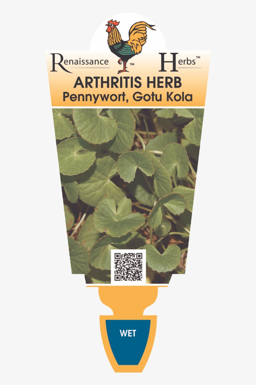 Arthritis Herb - Arthur Hanlon Piano Sin Fronteras, transparent png download