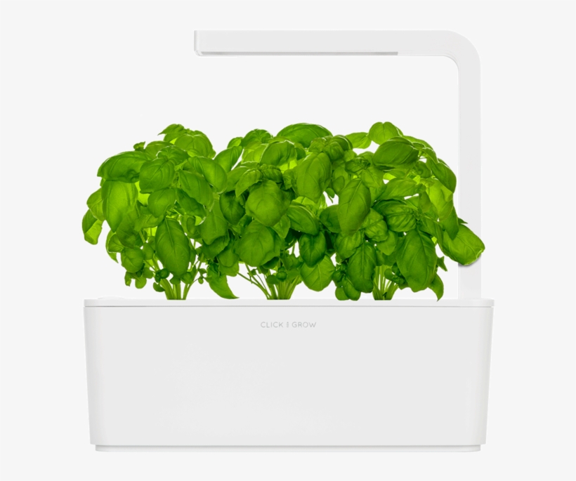 Indoor Herb Garden Tips - Smart Garden Click And Grow, transparent png download