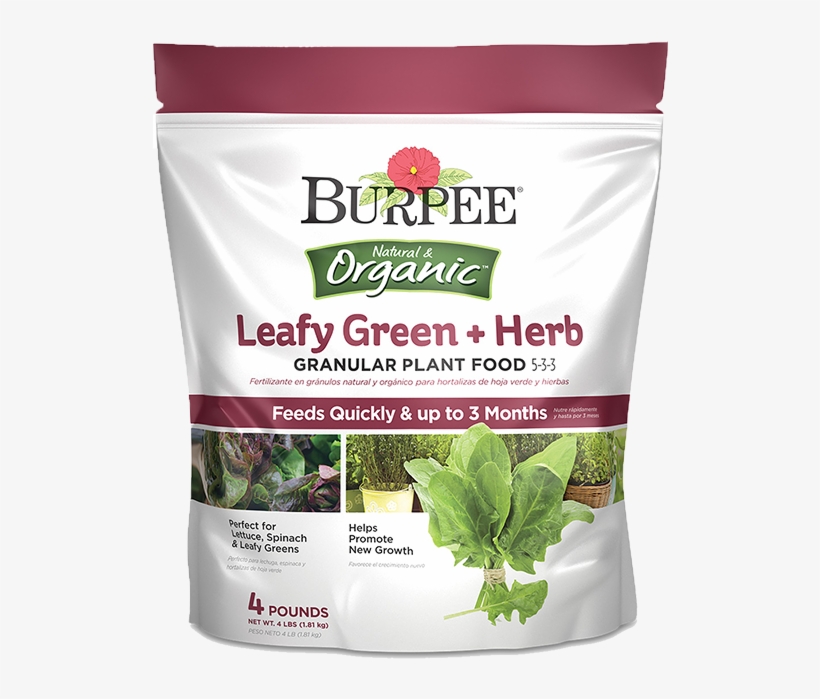 Burpee Natural & Organic Leay Green Herb Granular Plant - Burpee-echinacea, Purple Coneflower Perennial Seed, transparent png download