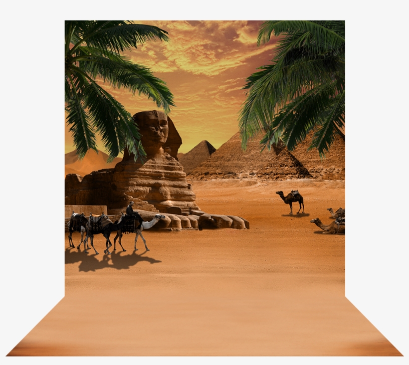 Giza Palm Fronds - Herd, transparent png download