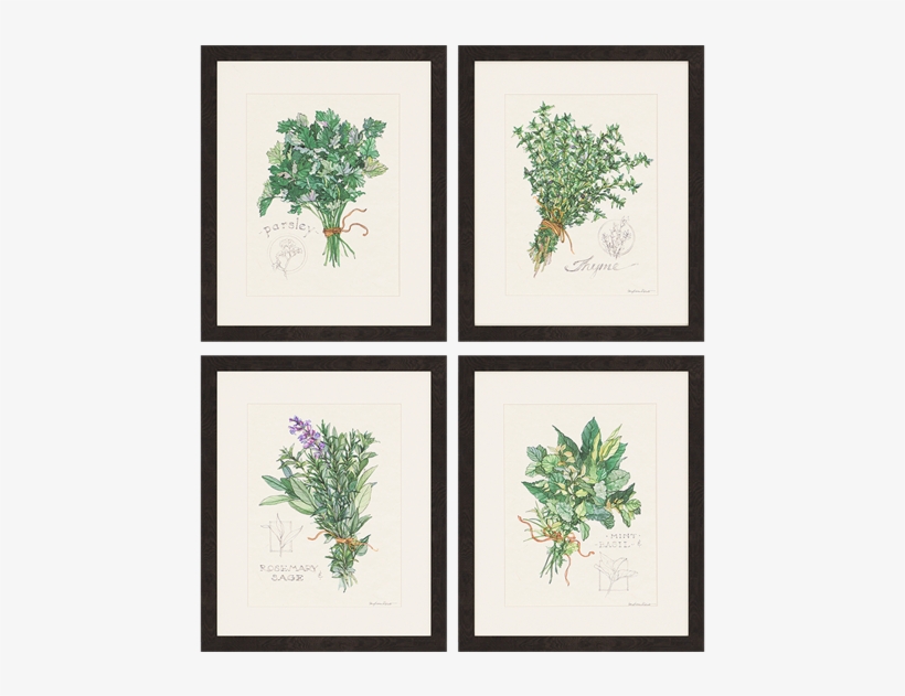 Herbs Pk/4 - Paragon Herbs, transparent png download