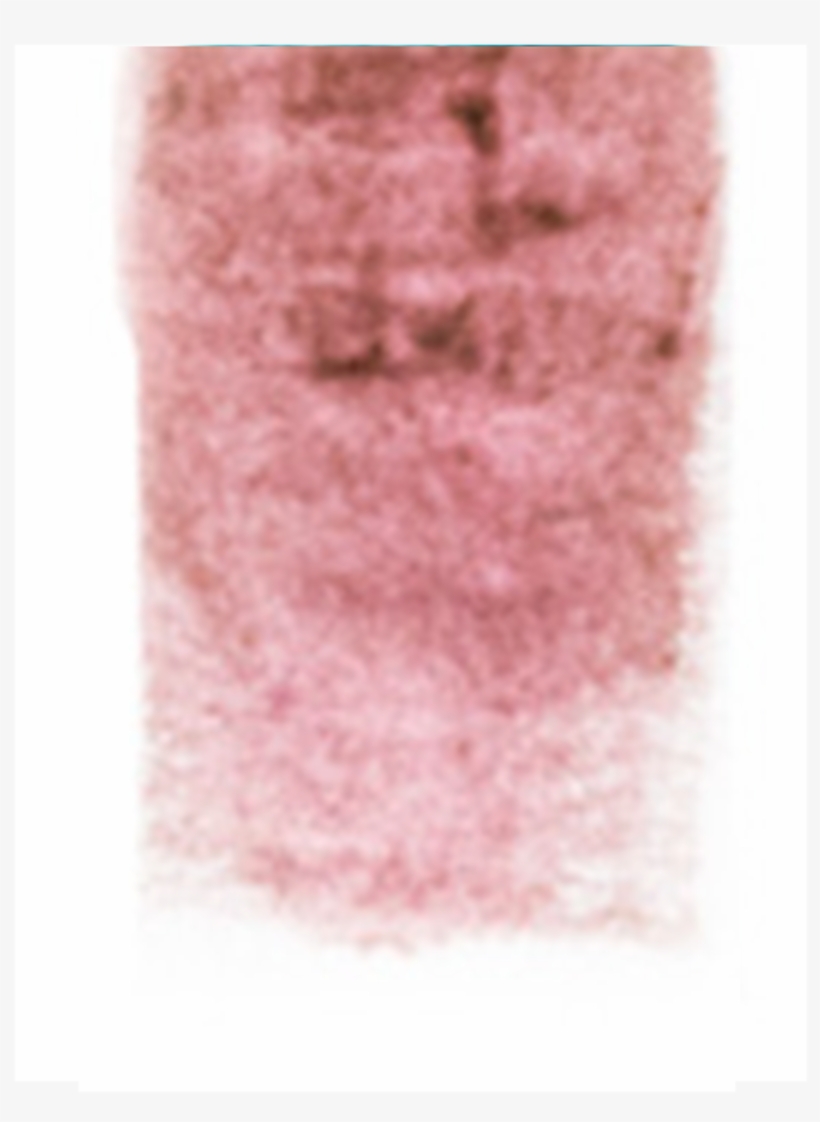 Skin Illustrator Glazing Gels, Sable, 1 Oz - Cosmetics, transparent png download