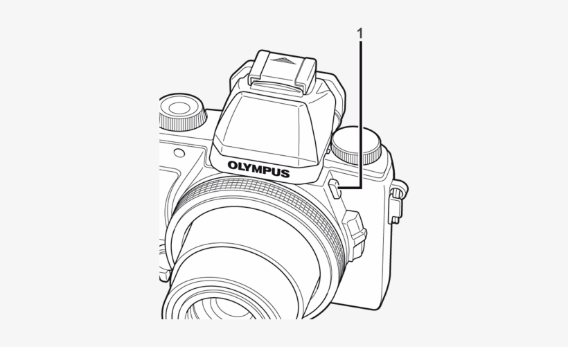 If Your Camera Has A Built-in Flash - Olympus, transparent png download