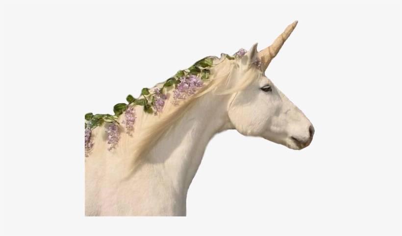 Unicorn Side Profile - Overlays Transparent Melanie Martinez, transparent png download