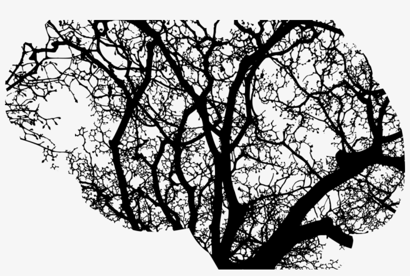 What Is Ai - Les Origines De La Sociologie [book], transparent png download