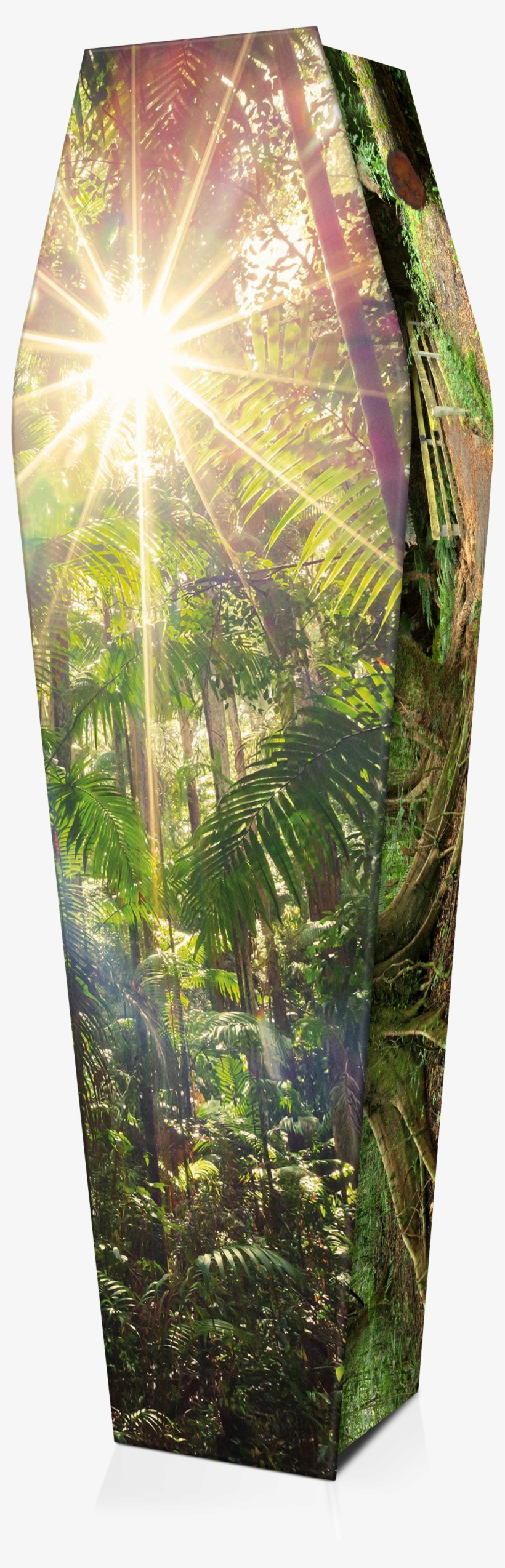 Expression Cofins - Pencil Skirt, transparent png download