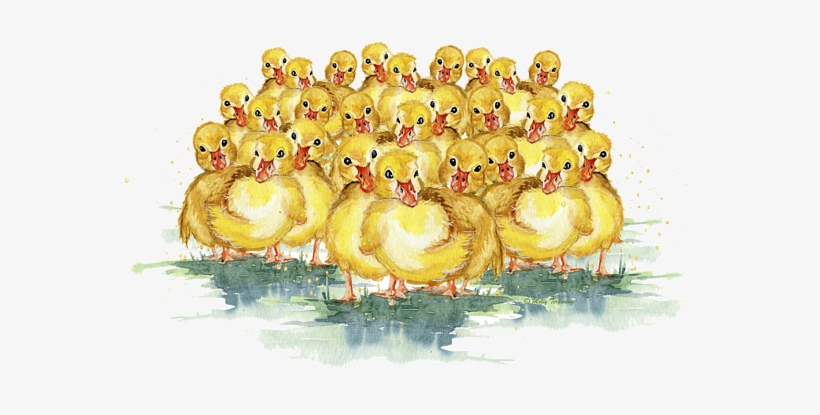 Click And Drag To Re-position The Image, If Desired - Duck, transparent png download