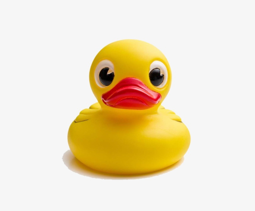 Yellow Duck Transparent Background Png - Transparent Background Duck .png, transparent png download