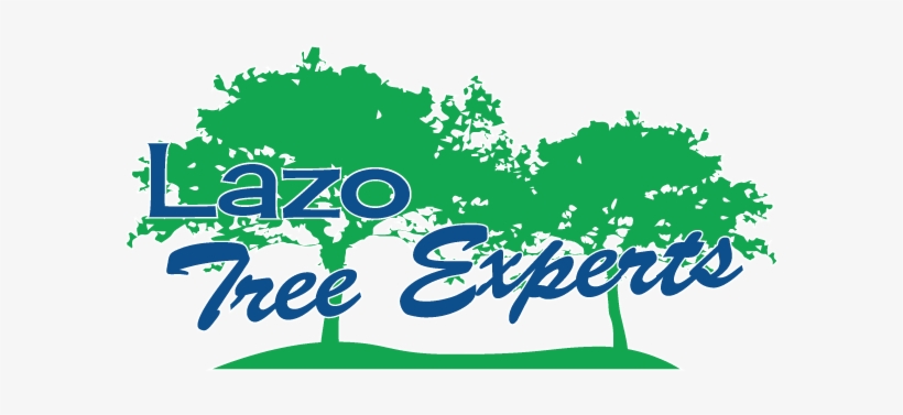 Mobile Phone, transparent png download