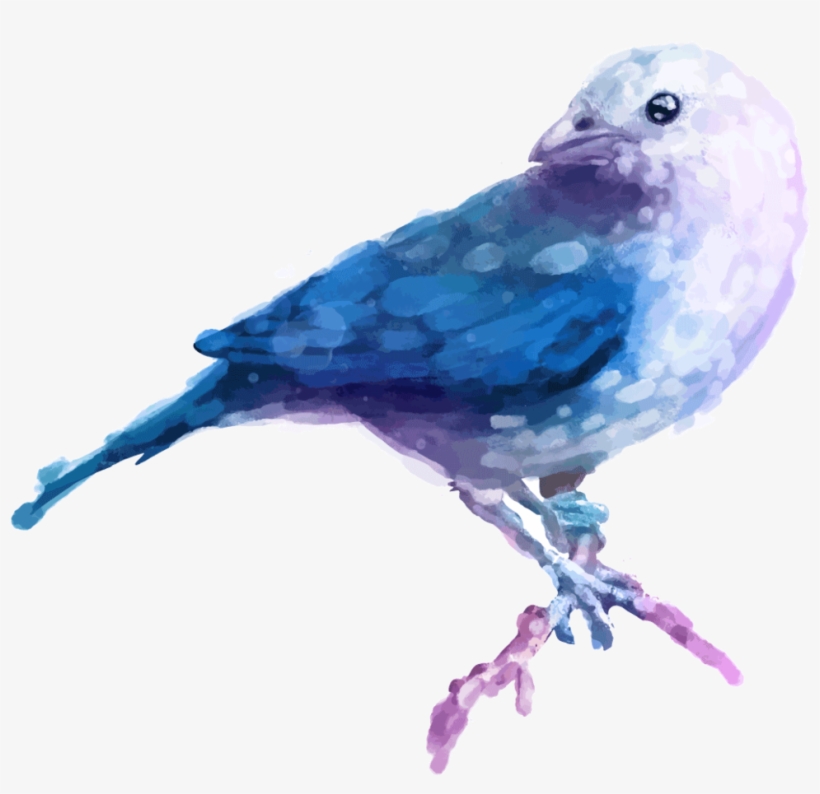Feather 5834028 - Beautiful Watercolor Bird Ceramic Coffee Mug, transparent png download
