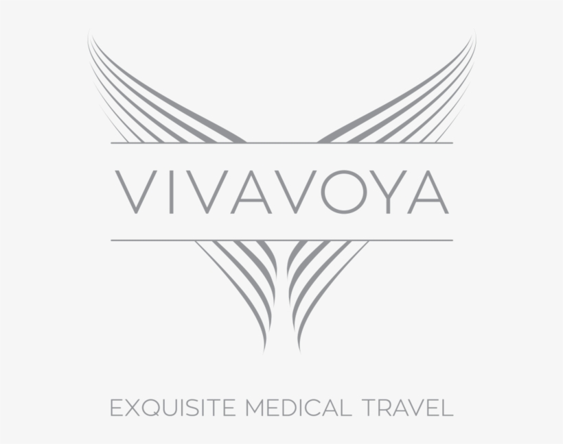 Vivavoya Logotag Gray - Line Art, transparent png download