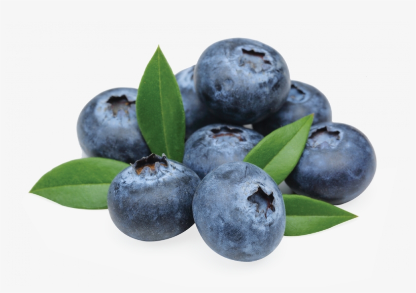 Made From High Quality Meat, Healthy Fats And Oils, - Huckleberry, transparent png download