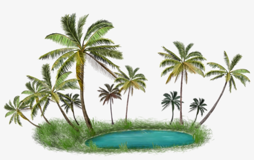 Palm Tree Island - Chengcing Lake, transparent png download