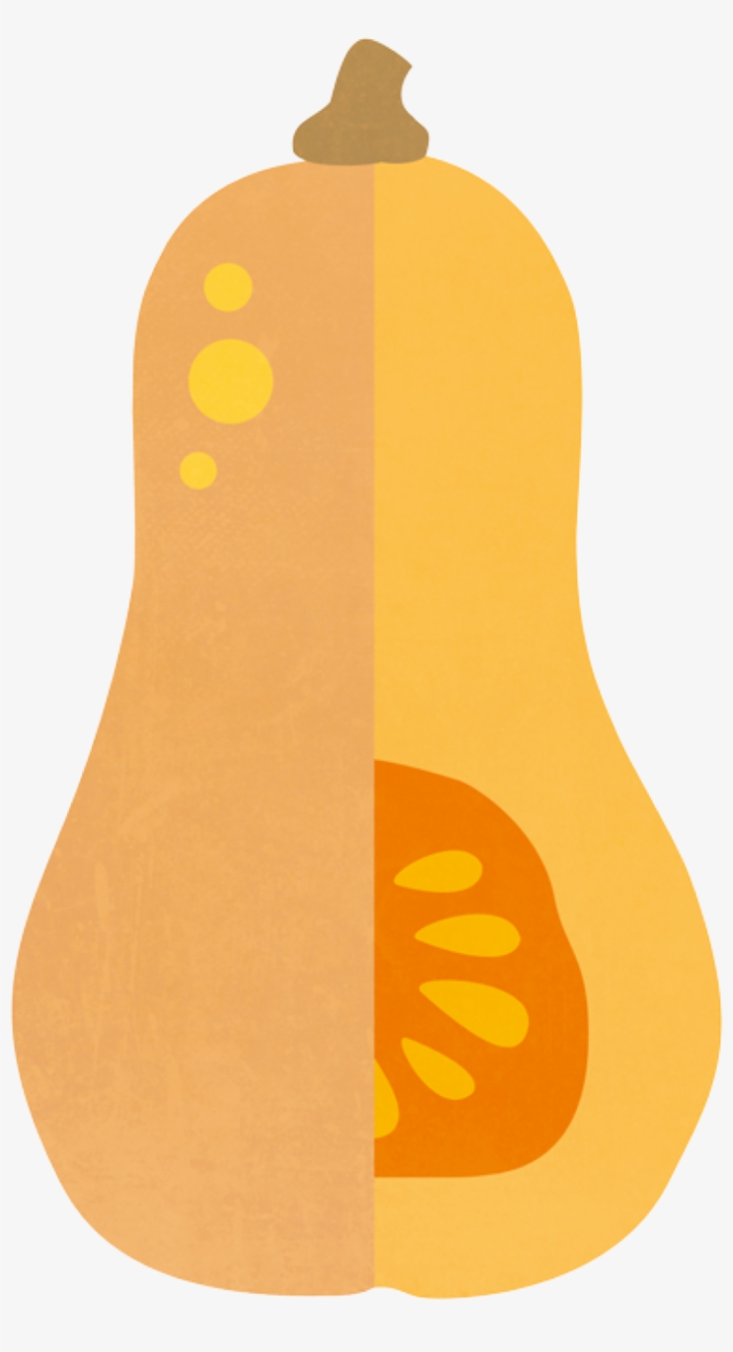 Squash Png - Butternut Illustration Png, transparent png download