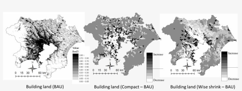 2271 X 768 4 - Tree, transparent png download