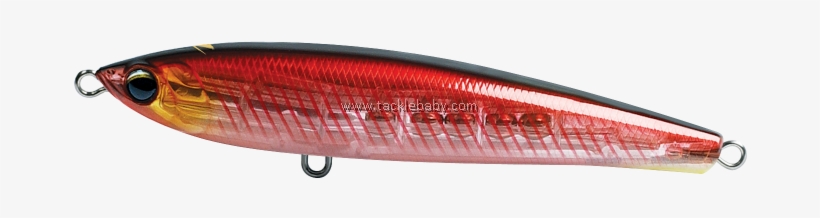 Bait Fish, transparent png download