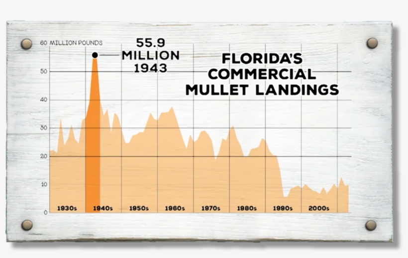 At The Same Time, Proponents Of The Ban Say Fish Species, transparent png download