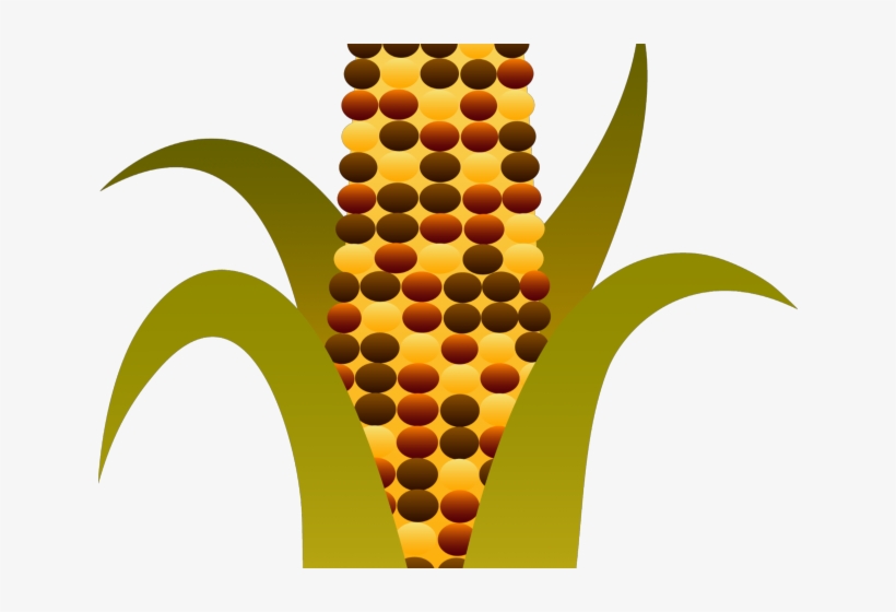 Indian Corn Clipart World Wide Clip Art Website Fall - Indian Corn Clip Art, transparent png download
