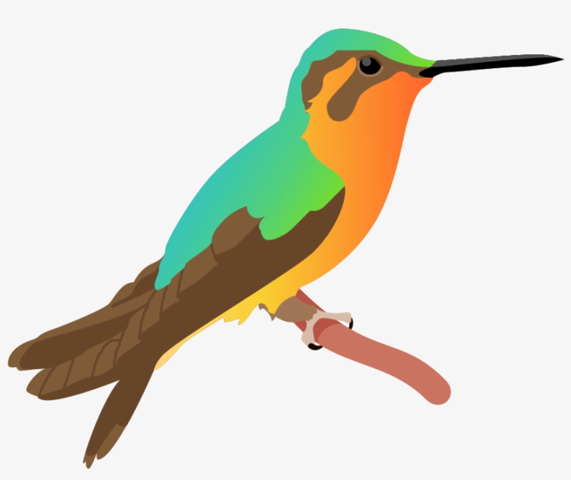 Kingfisher Poster - Ruby-throated Hummingbird, transparent png download