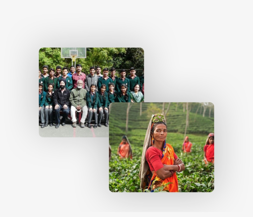 September Event - Thé Inde, transparent png download