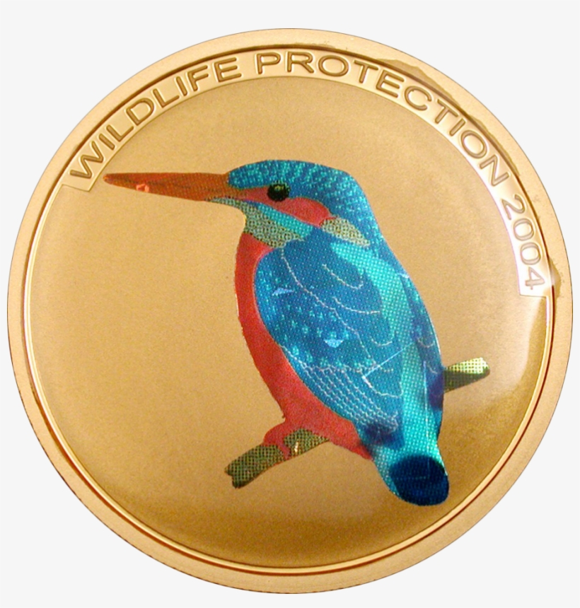 Kingfisher - Ruby-throated Hummingbird, transparent png download