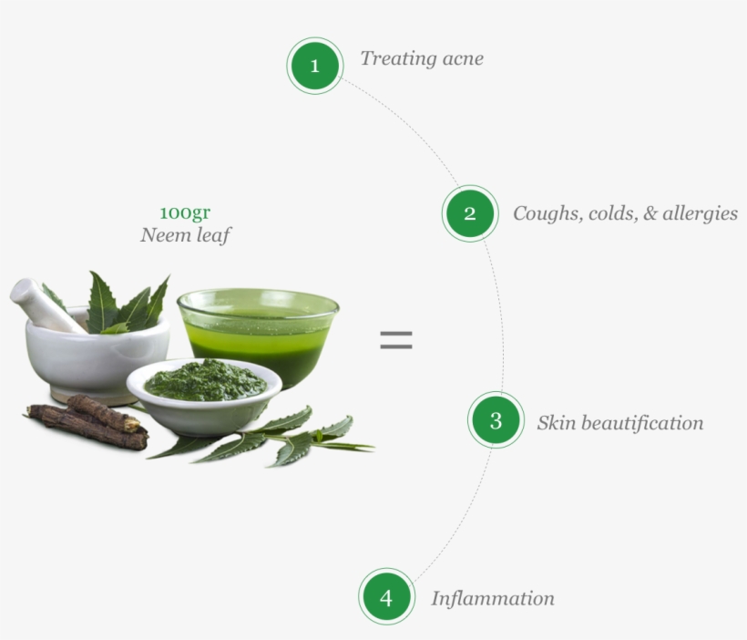 Https - //www - Organicfacts - Net/health Benefits/herbs - Aojiru, transparent png download