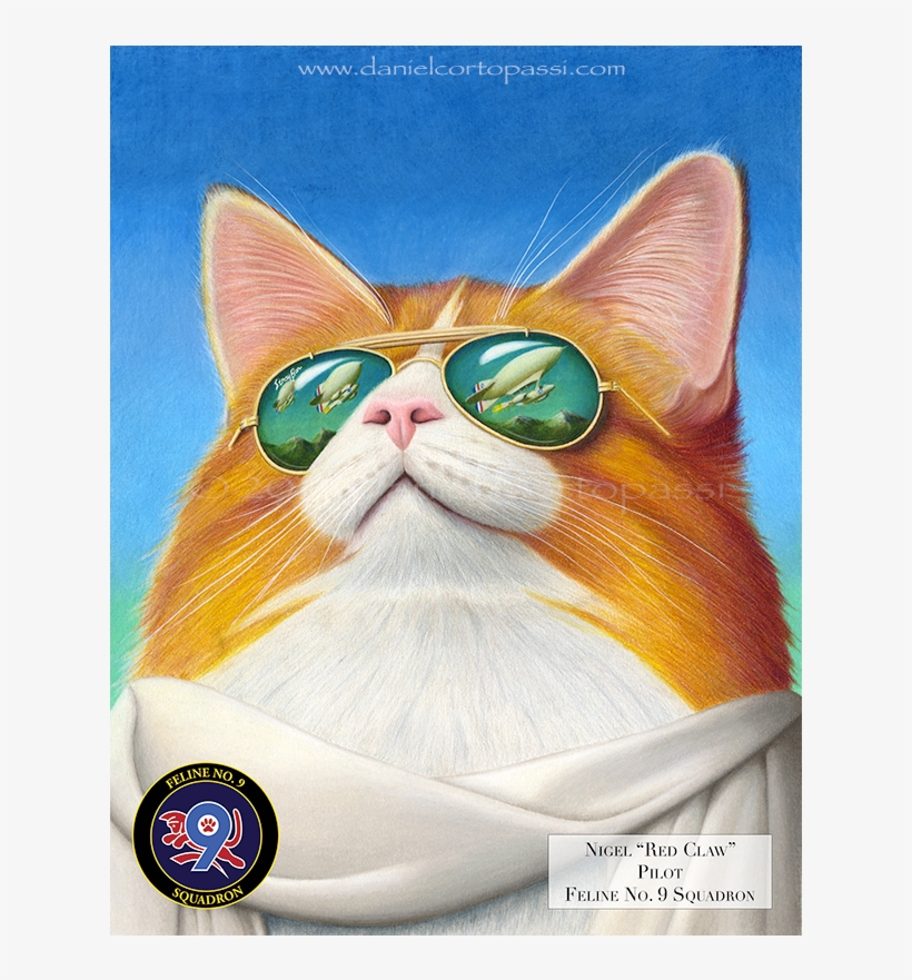 Nigel "red Claw" - Domestic Short-haired Cat, transparent png download