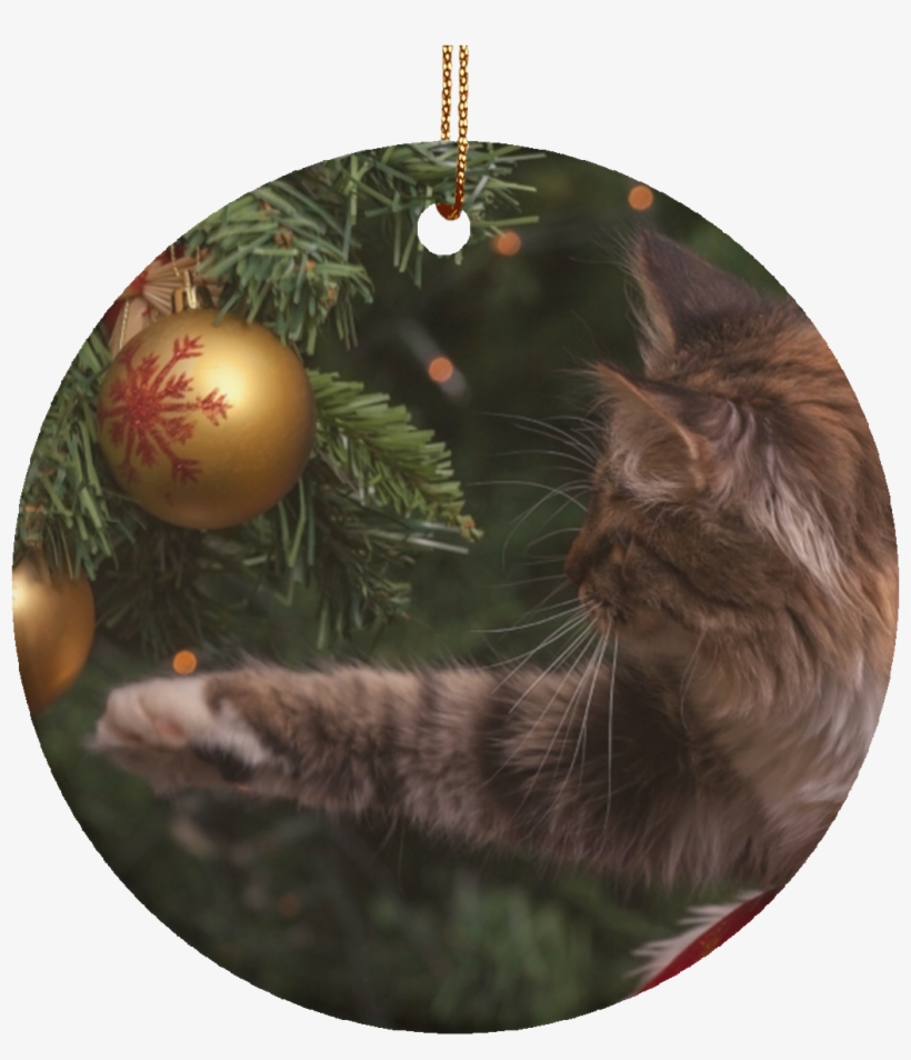 New Kitty Christmas Tree Holiday Cat Ornament New - Открытка Со Старым Новым Годом 2019, transparent png download