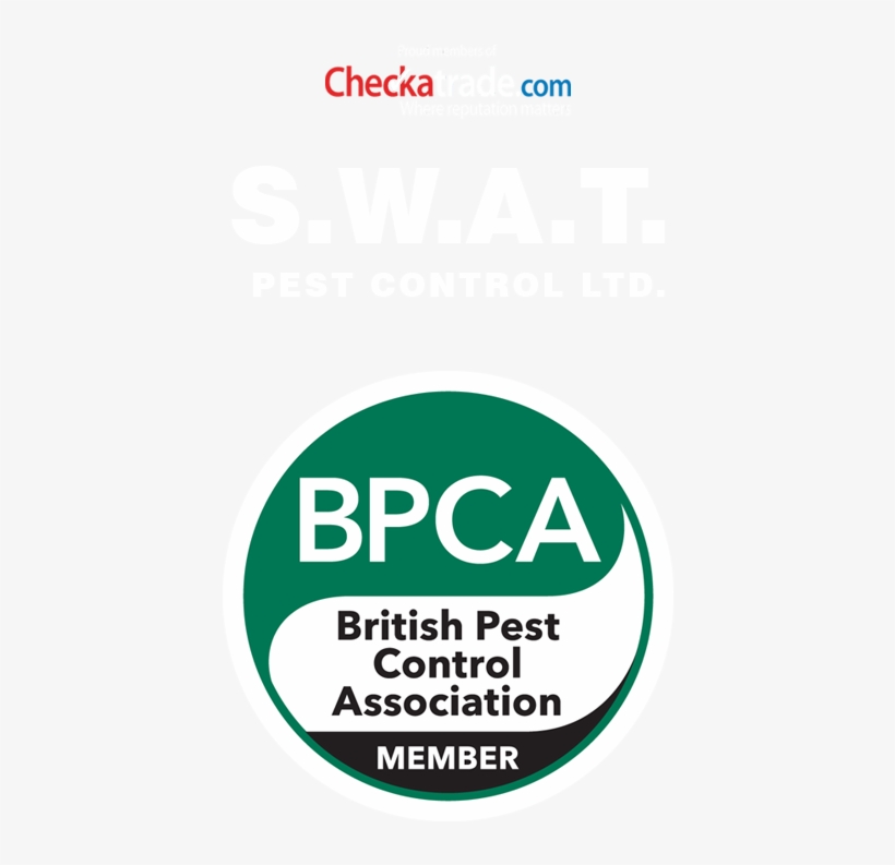 Residential Pest Control By Swat Pest Control Ltd - Bpca, transparent png download