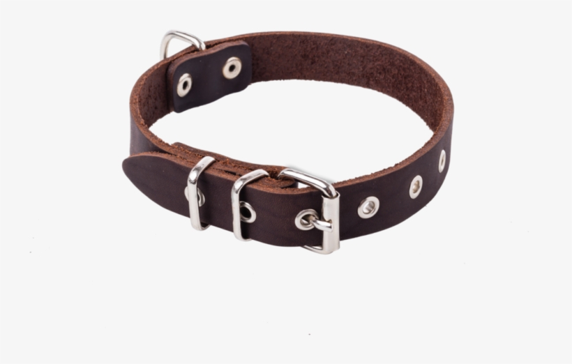 Dog Collar 2,2cm - Great Dane, transparent png download