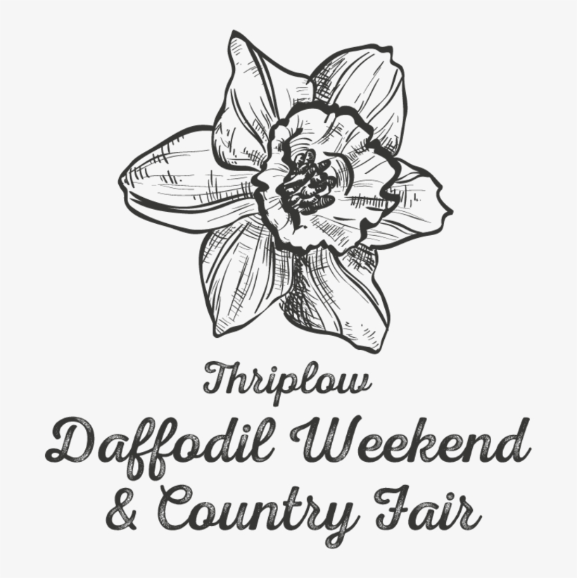 Orchids Of The Philippines, transparent png download