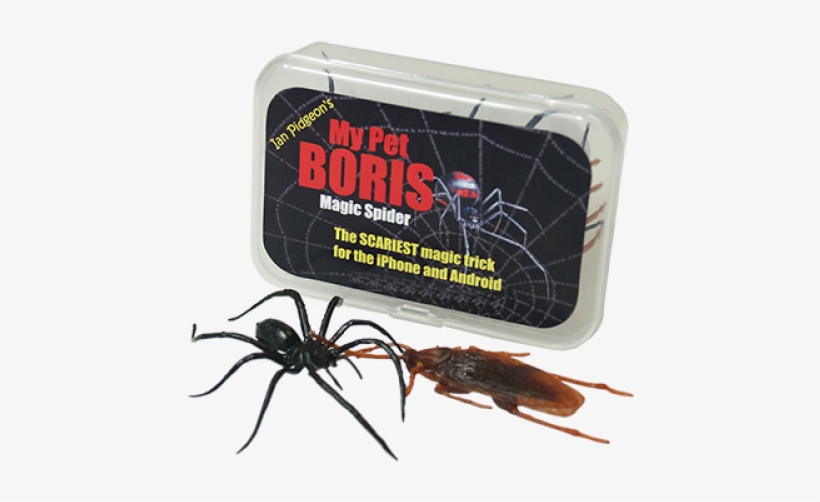 Magicspiderpro Full - Magic, transparent png download