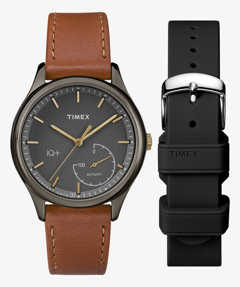 Additional Information - Timex Iq+, transparent png download