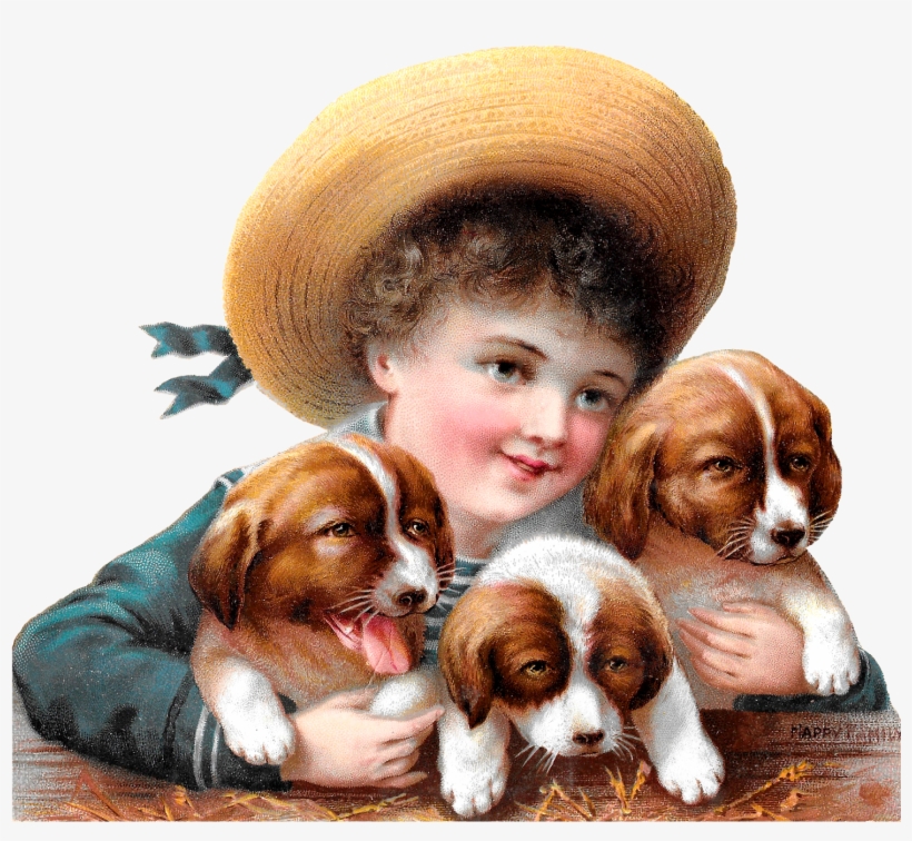 Young Boy Holding Puppies Image Download - Victorian Edwardian Postcards Dogs And Cats, transparent png download