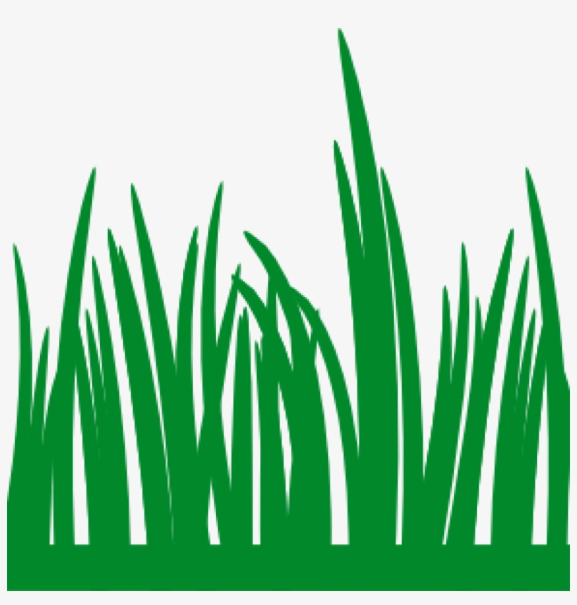 Grass Vector Png Transparent Image, transparent png download