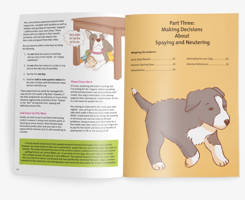 Bernese Mountain Dog, transparent png download