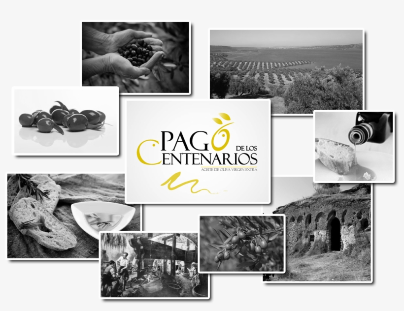 Aceite De Oliva Calidad Pago De Los Centenarios - Collage, transparent png download